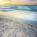 Morning Seashells and Waves At Sanibel Island