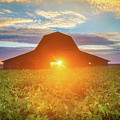Summer Sunshine Through The Red Barn